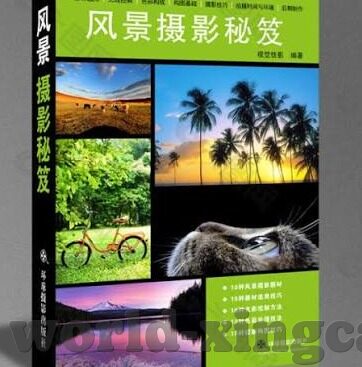 口袋逆袭2九游版下载-玩转口袋逆袭2，九游版下载全攻略